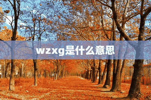 wzxg是什么意思